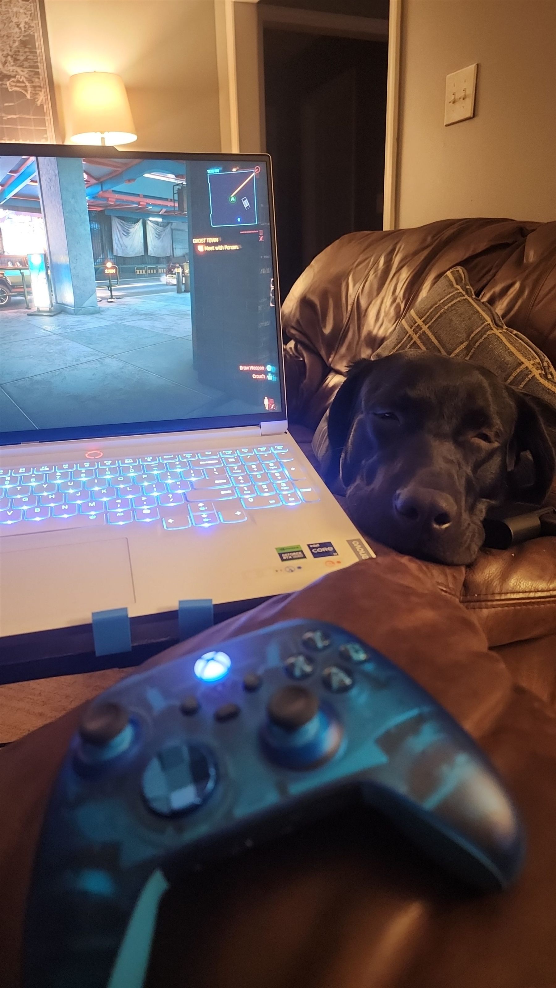 Spencer Callicott gaming with his dog Zulu watching